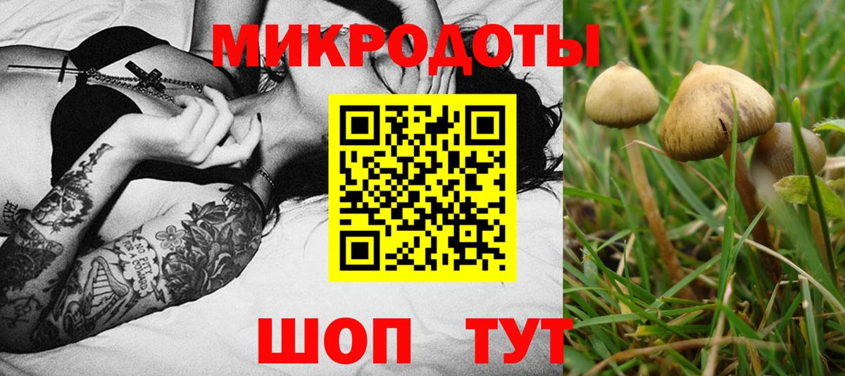 Галлюциногенные грибы GOLDEN TEACHER Знаменск