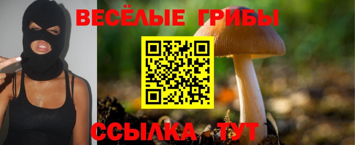 Знаменск  Галлюциногенные грибы Psilocybine cubensis  Вход с VPN 